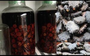 chữa thoái hoá cột sống